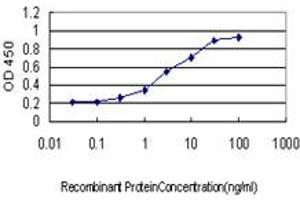 Detection limit for recombinant GST tagged POLS is approximately 0. (PAP Associated Domain Containing 7 (PAPD7) (AA 2-110) antibody)