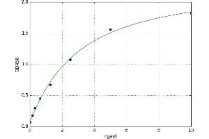 Periaxin (PRX) ELISA Kit