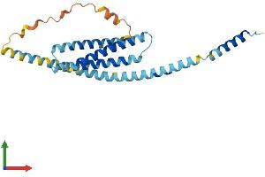 AlphaFold protein structure predicition of Human Recombinant STX8 Protein, UniprotID Q9UNK0 (STX8 Protein (AA 1-236) (His tag))