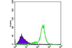 Flow cytometric analysis of K562 cells using IL34 mouse mAb (green) and negative control (purple). (IL-34 antibody)