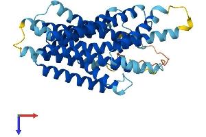 AlphaFold protein structure predicition of Human Recombinant XKR9 Protein, UniprotID Q5GH70 (XKR9 Protein (AA 1-373) (His tag))