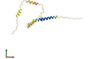 AlphaFold protein structure predicition of Human Recombinant FAM74A7 Protein, UniprotID A6NL05 (FAM74A7 Protein (AA 1-159) (His tag))
