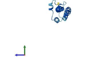 AlphaFold protein structure predicition of Mouse Recombinant Tmem18 Protein, UniprotID Q3TUD9 (Transmembrane Protein 18 (TMM18) (AA 1-140) protein (His tag))