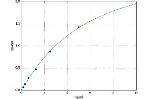 Protein O-Fucosyltransferase 1 (POFUT1) ELISA Kit