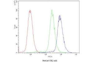 Flow cytometry testing of human K562 cells with POR antibody at 1ug/10^6 cells (blocked with goat sera) (POR antibody)