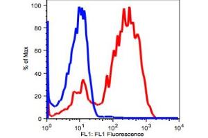 Image no. 2 for anti-CD7 (CD7) antibody (FITC) (ABIN2704320) (CD7 antibody  (FITC))