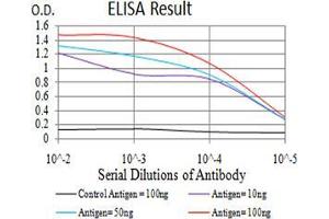 Fig. (VP2 (AA 296-438) antibody)