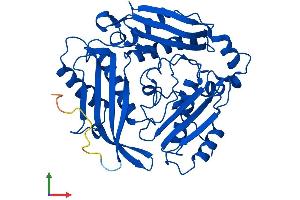 AlphaFold protein structure predicition of Mouse Recombinant Mat2a Protein, UniprotID Q3THS6