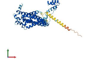 AlphaFold protein structure predicition of Human Recombinant CERS3 Protein, UniprotID Q8IU89 (LASS3 Protein (AA 1-383) (His tag))