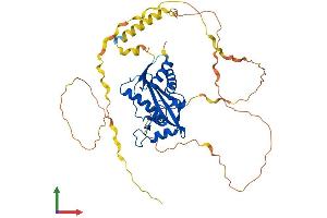 AlphaFold protein structure predicition of Human Recombinant PRRC1 Protein, UniprotID Q96M27