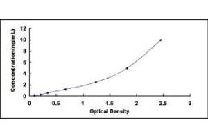 Typical standard curve (Muscarinic Acetylcholine Receptor M2 ELISA Kit)