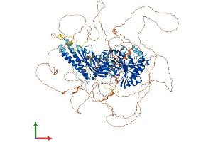 AlphaFold protein structure predicition of Human Recombinant FAM135B Protein, UniprotID Q49AJ0 (FAM135B Protein (AA 1-1406) (His tag))