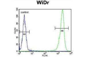 DEK Antibody (C-term) flow cytometric analysis of WiDr cells (right histogram) compared to a negative control cell (left histogram). (DEK antibody  (C-Term))