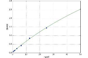 CCAAT/enhancer Binding Protein (C/EBP), epsilon (CEBPE) ELISA Kit