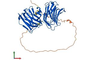 AlphaFold protein structure predicition of Human Recombinant LGALS9 Protein, UniprotID O00182 (Galectin 9 Protein (AA 1-355) (His tag))