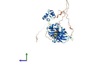 Protein Structure (PS) image for Transcription Factor CP2 (TFCP2) (AA 1-502) protein (His tag) (ABIN7555773)
