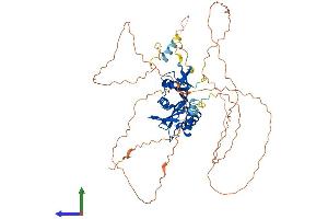 AlphaFold protein structure predicition of Human Recombinant ESCO2 Protein, UniprotID Q56NI9