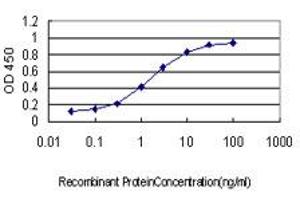 Detection limit for recombinant GST tagged GML is approximately 0. (GML antibody  (AA 48-158))