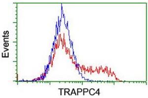 Image no. 1 for anti-Trafficking Protein Particle Complex 4 (TRAPPC4) antibody (ABIN1501263) (TRAPPC4 antibody)