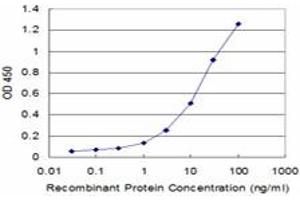 Detection limit for recombinant GST tagged EXO1 is approximately 1ng/ml as a capture antibody. (Exonuclease 1 antibody  (AA 747-846))
