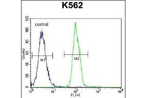SFRP4 Antibody (C-term) (ABIN655521 and ABIN2845035) flow cytometric analysis of K562 cells (right histogram) compared to a negative control cell (left histogram). (SFRP4 antibody  (C-Term))