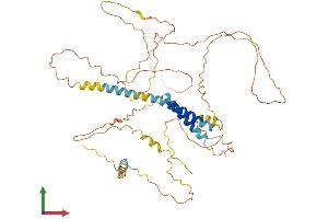 Protein Structure (PS) image for Transmembrane Protein 200A (TMEM200A) (AA 1-491) protein (His tag) (ABIN7559191)