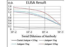 Black line: Control Antigen (100 ng), Purple line: Antigen(10 ng), Blue line: Antigen (50 ng), Red line: Antigen (100 ng), (MCAM antibody  (AA 84-189))