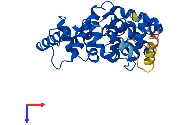 TBC1D7 Protein (AA 1-293) (His tag)