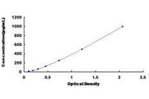 Typical standard curve (FLNB ELISA Kit)