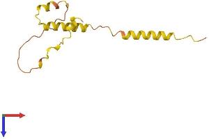 AlphaFold protein structure predicition of Mouse Recombinant Sprr2j Protein, UniprotID O70561 (SPRR2J-PS Protein (AA 1-109) (His tag))
