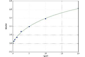 A typical standard curve (WNT10B ELISA Kit)