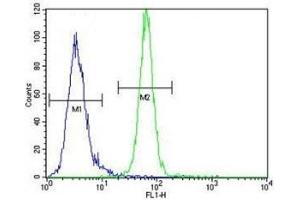AKT1 antibody flow cytometric analysis of MDA-MB435 cells (right histogram) compared to a negative control (left histogram). (AKT1 antibody  (AA 438-468))