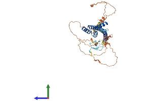 Protein Structure (PS) image for Testis Expressed 13A (TEX13A) (AA 1-409) protein (His tag) (ABIN7544958)