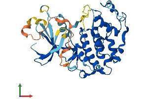 AlphaFold protein structure predicition of Mouse Recombinant Cdk20 Protein, UniprotID Q9JHU3