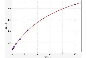 Typical standard curve (SLC3A2 ELISA Kit)