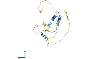 AlphaFold protein structure predicition of Human Recombinant MYF5 Protein, UniprotID P13349 (MYF5 Protein (AA 1-255) (His tag))