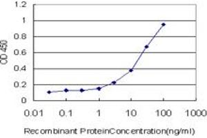 Detection limit for recombinant GST tagged SMO is approximately 0. (SMO antibody  (AA 56-155))