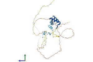 Protein Structure (PS) image for Engrailed Homeobox 2 (EN2) (AA 1-324) protein (His tag) (ABIN7562771)