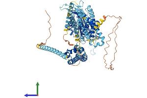 Protein Structure (PS) image for Polycystic Kidney Disease 2-Like 1 (PKD2L1) (AA 1-760) protein (His tag) (ABIN7561859)