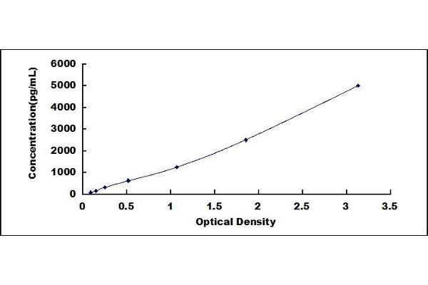 C3a ELISA Kit