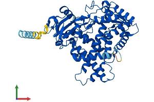 AlphaFold protein structure predicition of Human Recombinant CYP2B6 Protein, UniprotID P20813 (CYP2B6 Protein (AA 1-491) (His tag))