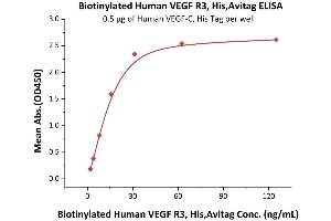 ELISA image for Fms-Related Tyrosine Kinase 4 (FLT4) (AA 25-776) (Active) protein (His tag,AVI tag,Biotin) (ABIN5674609)