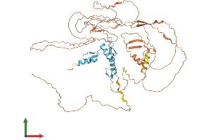 AlphaFold protein structure predicition of Mouse Recombinant Sp2 Protein, UniprotID Q9D2H6