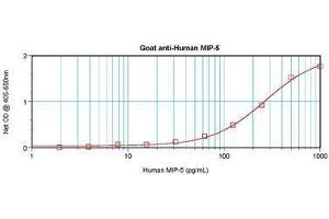 Image no. 3 for anti-Chemokine (C-C Motif) Ligand 15 (CCL15) antibody (ABIN464833) (CCL15 antibody)