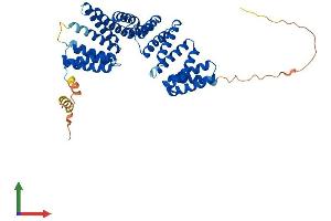 Protein Structure (PS) image for Tetratricopeptide Repeat Domain 23 (TTC23) (AA 1-447) protein (His tag) (ABIN7544934)