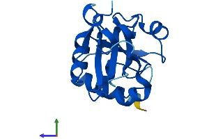 AlphaFold protein structure predicition of Human Recombinant PRORSD1P Protein, UniprotID A6NEY8 (PRORSD1P Protein (AA 1-169) (His tag))