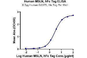 Immobilized Human CA125, His Tag at 2 μg/mL (100 μL/Well) on the plate. (Mesothelin Protein (MSLN) (AA 296-580) (Fc Tag))