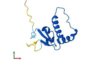 AlphaFold protein structure predicition of Human Recombinant ELOC Protein, UniprotID Q15369 (TCEB1 Protein (AA 1-112) (His tag))