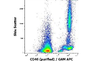 Flow cytometry surface staining pattern of human peripheral blood cells stained using anti-human CD46 (MEM-258) purified antibody (concentration in sample 0,5 μg/mL) GAM APC. (CD46 antibody)