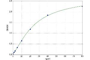 A typical standard curve